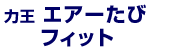 力王エアーたびフィット