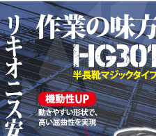 HG301_01