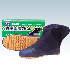 力王園芸たびPH